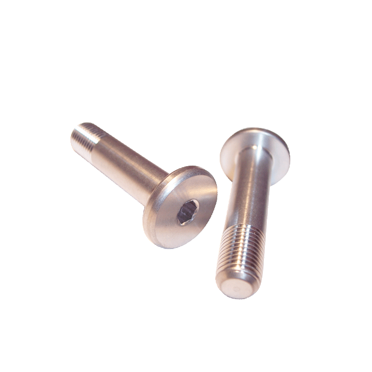 ASTRO-Titanium Seat Bolts