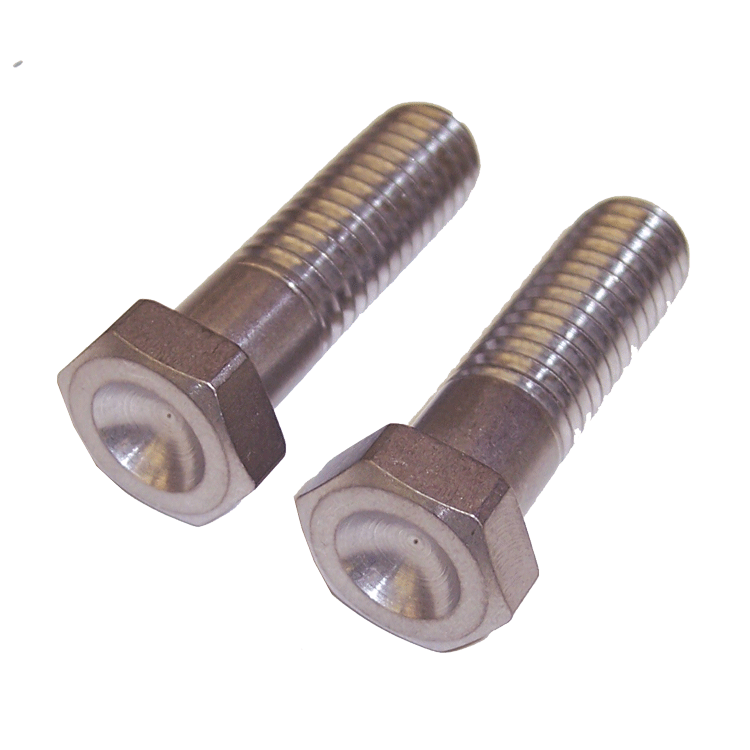 Titanium Inboard Brake Caliper Bolts