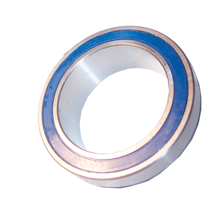 6014 Standard Birdcage Bearing