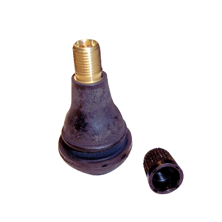 Valve Stems